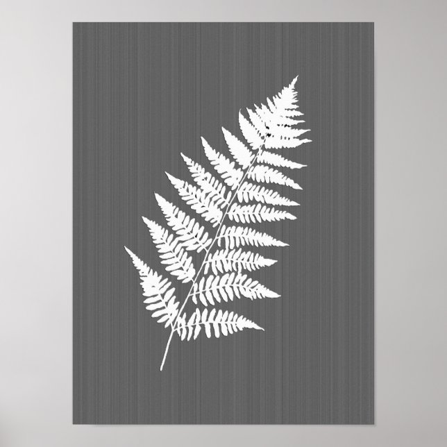 Póster Fern Frond, blanco sobre gris de carbón vegetal /  (Frente)