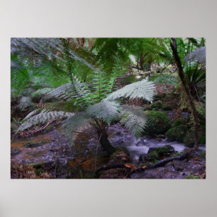 Póster Fern gully