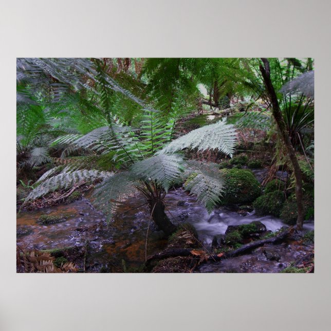 Póster Fern gully (Frente)