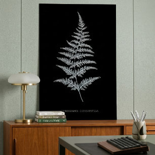 Póster Fern - Gymnogramma Chrysophylla. Efecto de rayos X