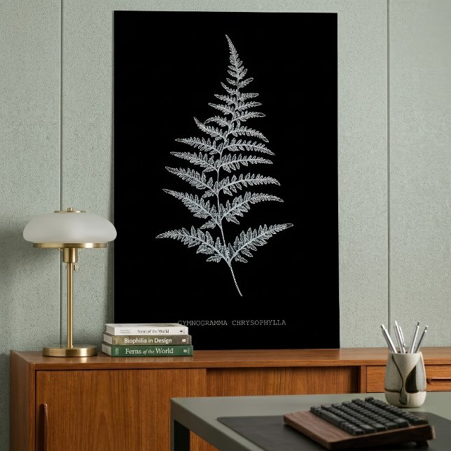 Póster Fern - Gymnogramma Chrysophylla. Efecto de rayos X (Golden Fern Frond, Gymnogramma Chrysophylla. Poster)
