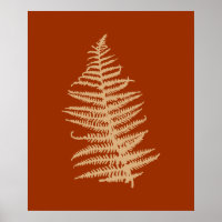 Fern Leaves Fall Otoño