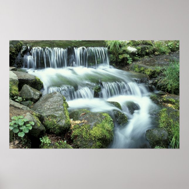 Póster Fern Spring, Parque Nacional Yosemite (Frente)