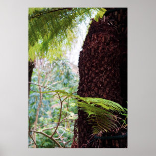 Póster Fern Tropics