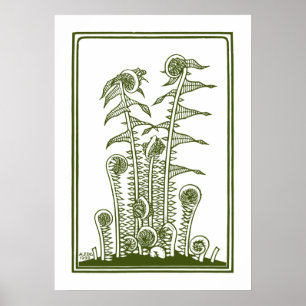 Póster Ferns (1920) por Julie de Graag Vintage Woodcut