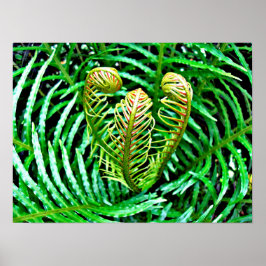 Póster Ferns Unfurling
