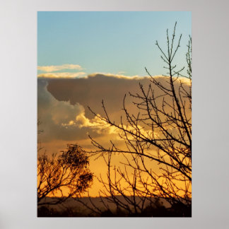 Póster Ferntree Gully Skyscapes Poster