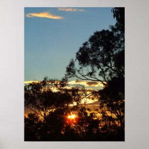 Póster ferntree gully sun twinkle Poster