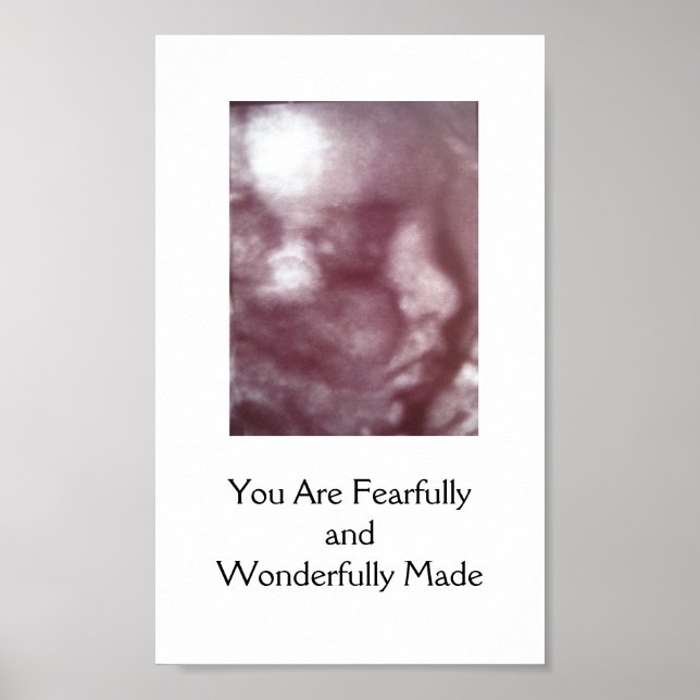 Póster Feroz y maravillosamente hecho / Poster (Frente)