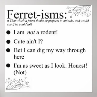 Póster Ferret Faces Sayings and Quotes