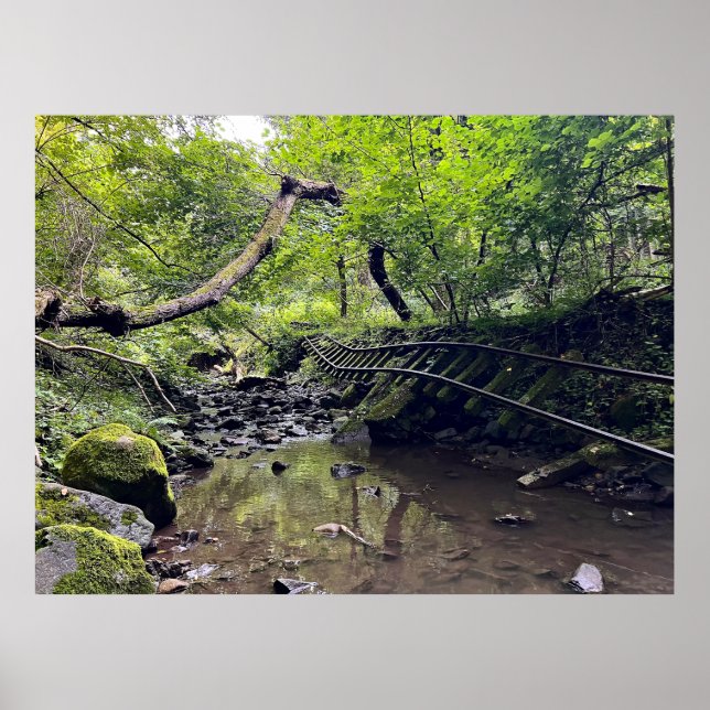 Póster Ferrocarril abandonado (Frente)