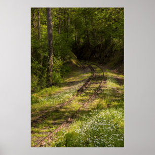 Póster Ferrocarril Abandonado En Un Bosque