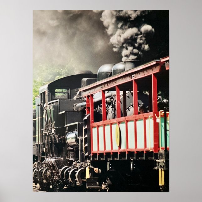 Póster "Ferrocarril de Cass Scenic" - Fotografía (Frente)