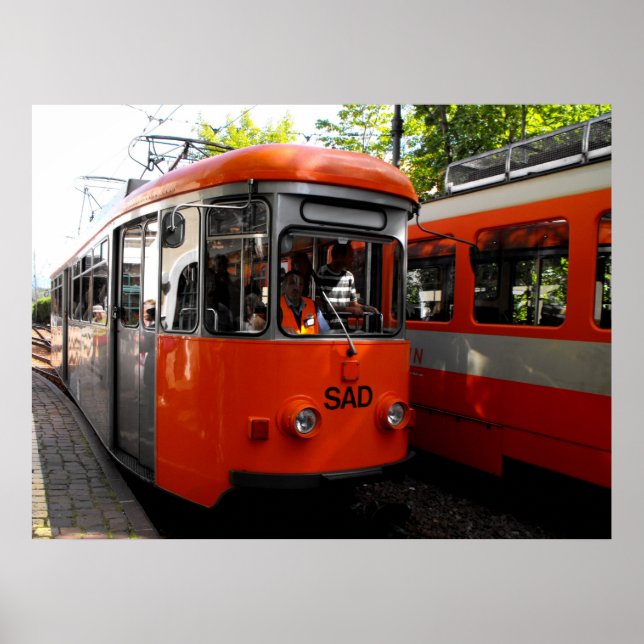 Póster Ferrocarril Histórico de Renon (Frente)