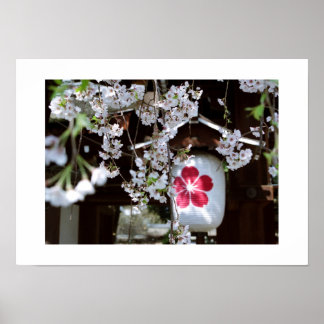 Póster Festival de Flor de Cerezo: Kyoto