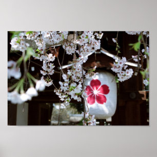 Póster Festival de la Florencia del Cerezo: Hirano Shrine