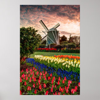 Póster Festival de Tulip