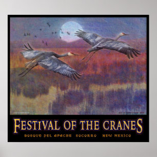 Póster festival del sandhill para noviembre GRANDE