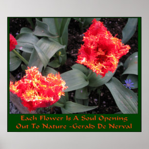 Póster Festival del tulipán del valle de Skagit