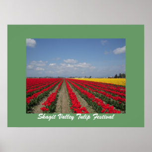 Póster Festival del tulipán, festival del tulipán del