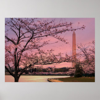 Póster Festival Washington Monument Cherry Blossom