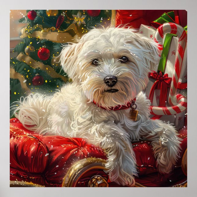 Póster Festividad de los Navidades de perros malteses (Frente)
