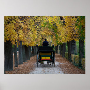 Póster Fiaker In Schönbrunn, Wien Österreich