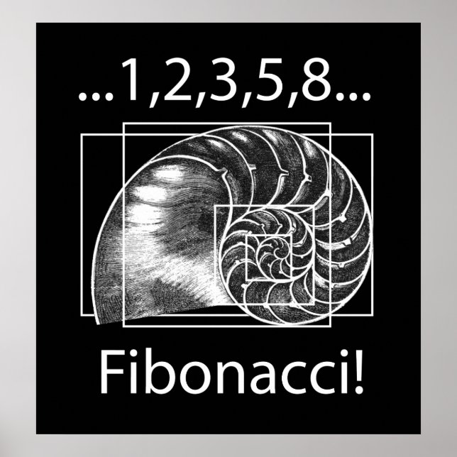 Póster Fibonacci (Frente)