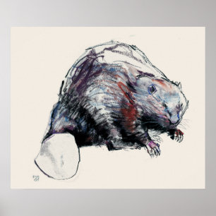 Póster Fibra Castor 2001