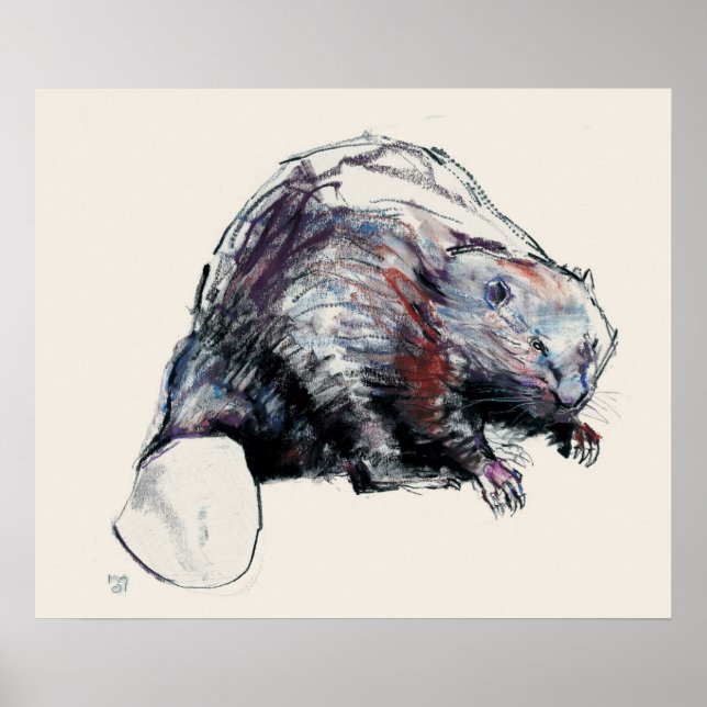 Póster Fibra Castor 2001 (Frente)