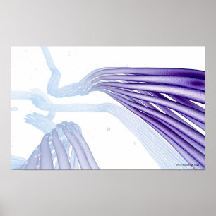 Póster Fibras nerviosas estilizadas