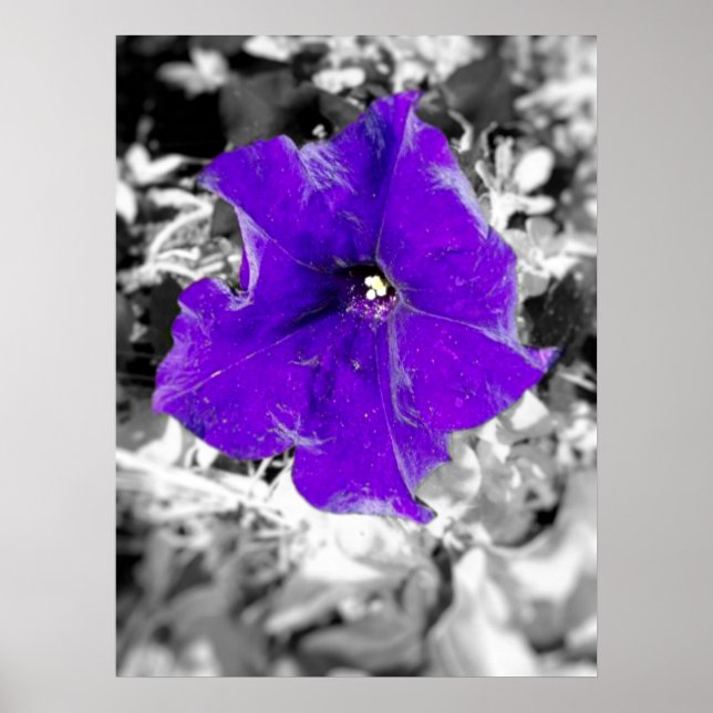 Póster Fiebre púrpura (Frente)