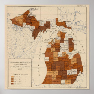 Póster Fiebre tifoidea Michigan