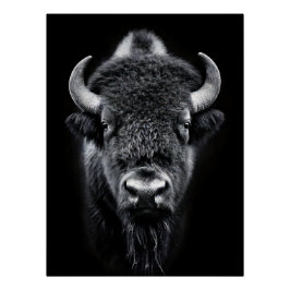 Póster Fierce Black & White Bison Fine Art Photography |