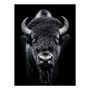 Póster Fierce Black & White Bison Fine Art Photography