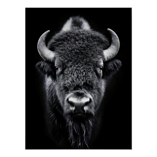 Póster Fierce Black & White Bison Fine Art Photography | (Anverso)