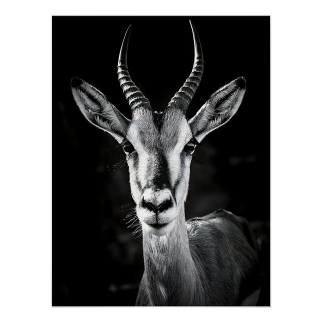 Póster Fierce Gazelle Portrait - High Contrast Black & Wh (Anverso)