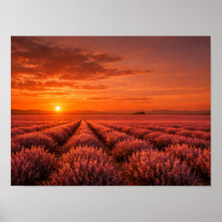 Póster Fiery Sunset Lavender Fields Poster - Warm Orange