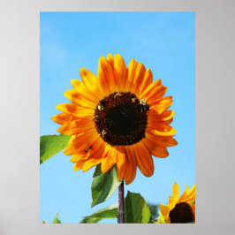 Póster Fiesta de abejas 1