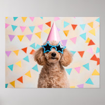 Fiesta de Caniche Adorable