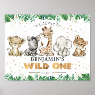 Póster Fiesta de cumpleaños  de bienvenida Poster