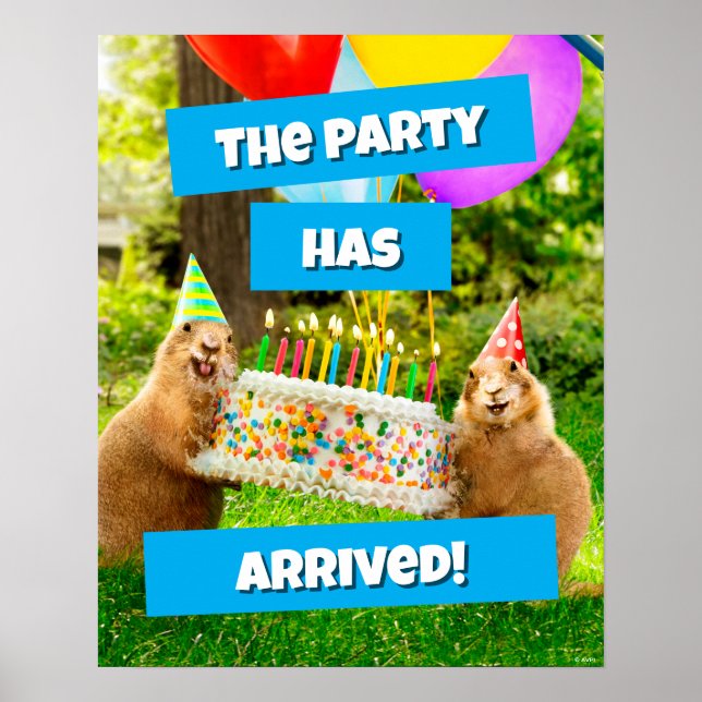 Póster Fiesta de Cumpleaños de Perrito de la Pradera (Frente)