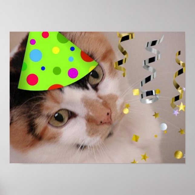 Póster Fiesta de Cumpleaños del Gato Calico (Frente)