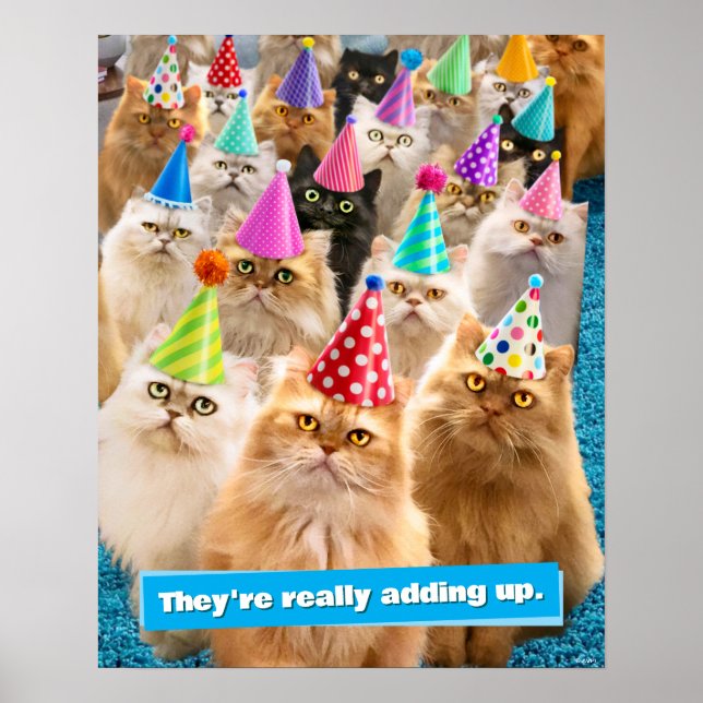 Póster Fiesta de Gatos (Frente)