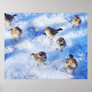 Póster Fiesta de la casa con 'Passer domesticus' sobre