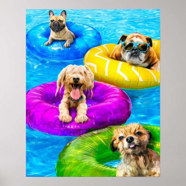 Póster Fiesta de perros en la piscina (Frente)