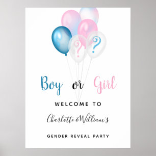 Póster Fiesta de revelación de género niño niña azul rosa