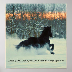 Póster Fiesta frisia del invierno