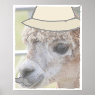Póster Fiesta Llama con bigote