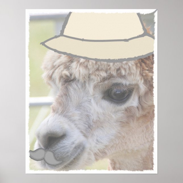 Póster Fiesta Llama con bigote (Frente)